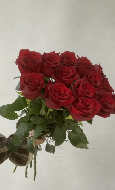 Букет из 15 эквадорских роз