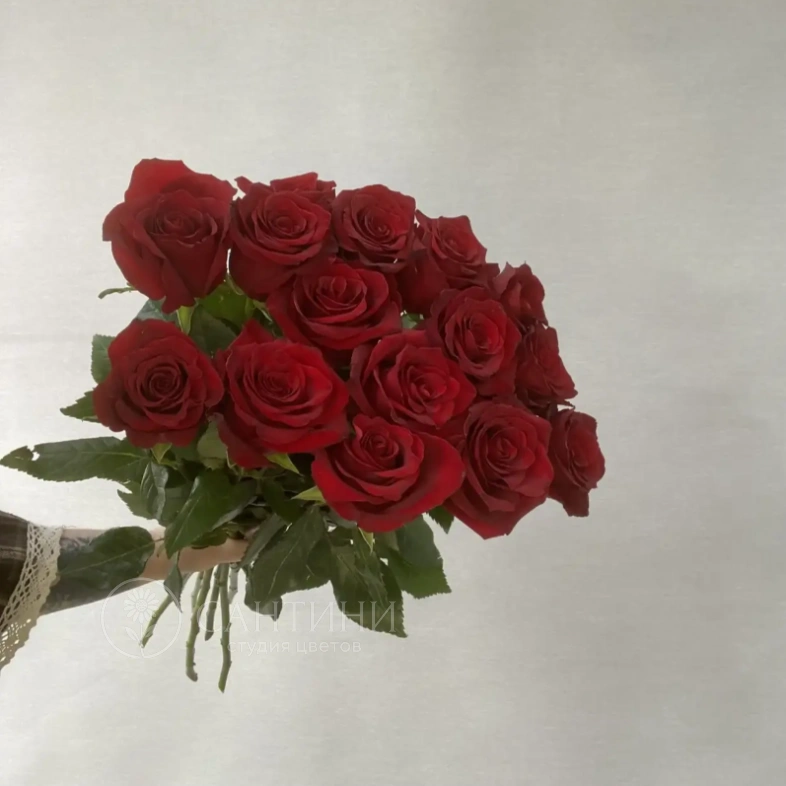 Букет из 15 эквадорских роз