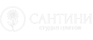 САНТИНИ